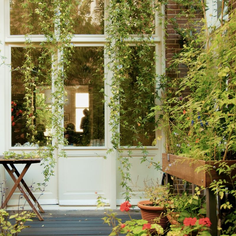 Muze-van-Zuid-2025_Huisconcert©️Nander-Cirkel