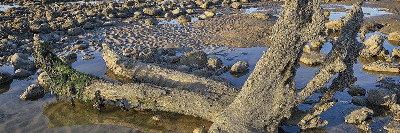 Letter-From_Opener-6-scaled