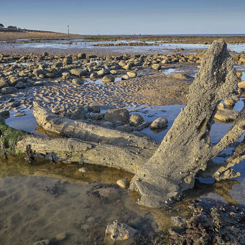 Letter-From_Opener-6-scaled