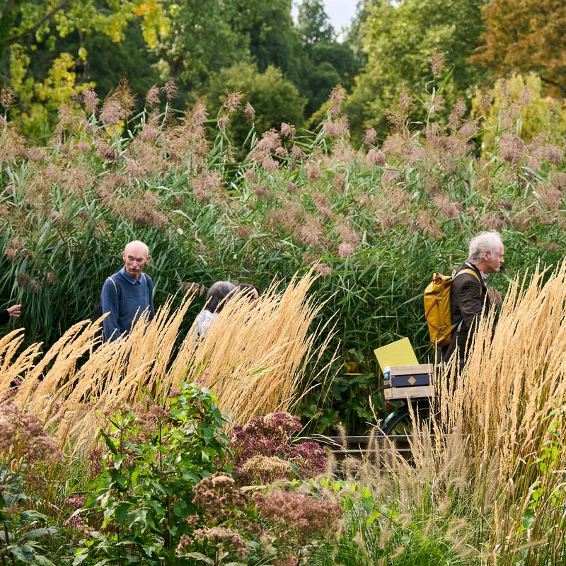Muze-van-Zuid-2025_muziekwandeling-beatrixpark ©️Kenny Nagelkerke 9
